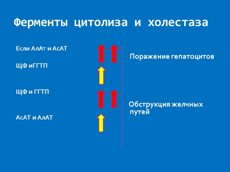 Ферменты цитолиза и холестаза Если АлАт и АсАТ  ЩФ иГГТП   ЩФ